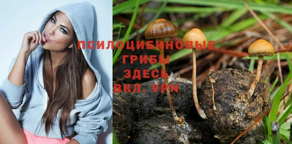 скорость Белокуриха