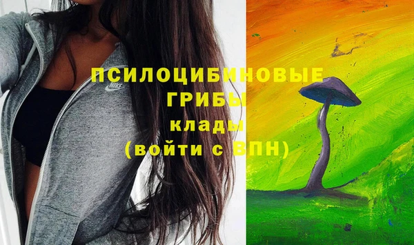 скорость Белокуриха